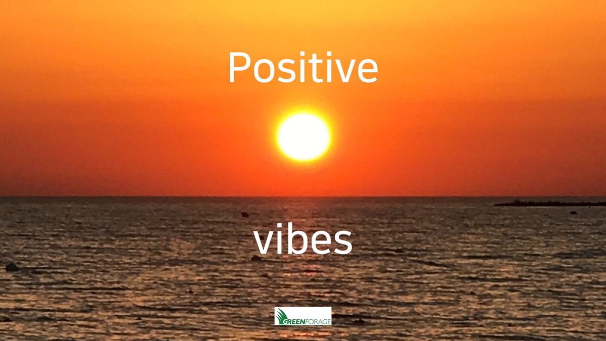 Today more than ever sending some positive vibes your way☀️ #bluemonday #january2021 #familybusiness greenforage.co.uk