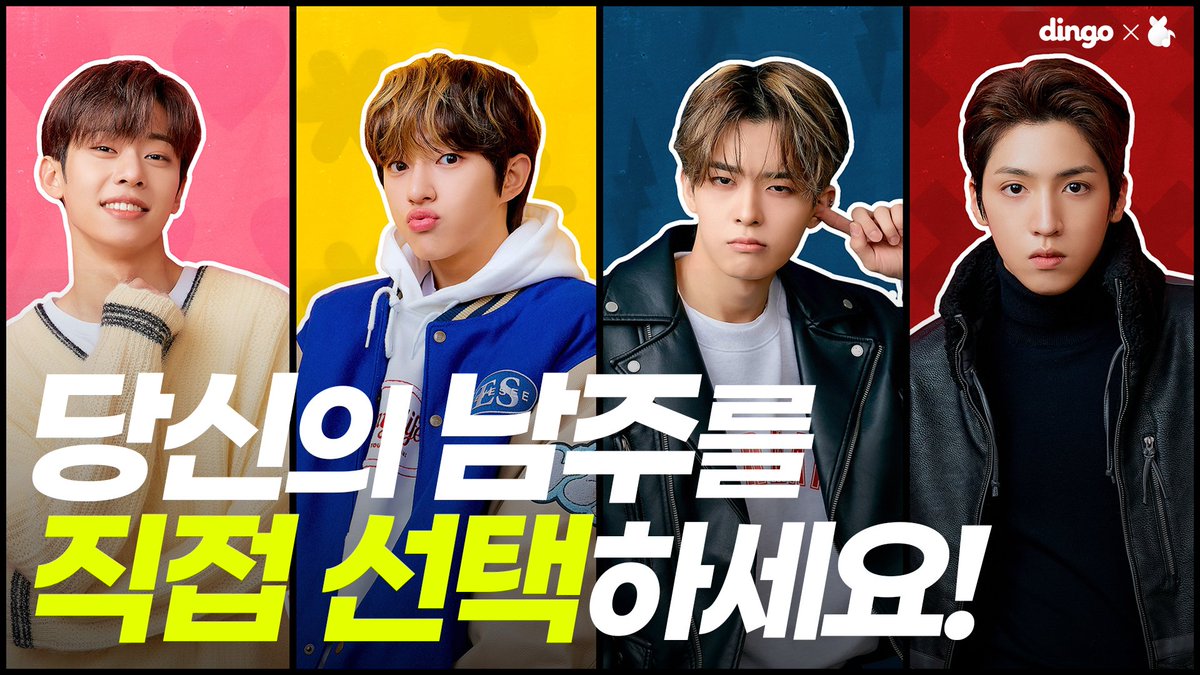 dingo(딩고) tweet media