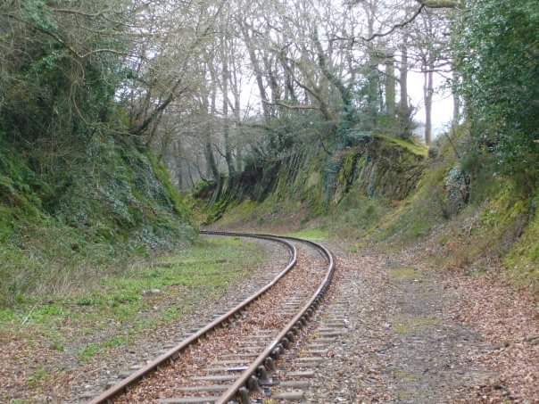 mon_las's tweet image. #waterfordgreenway then &amp;amp; now a lonely disused railway line, now a vibrant walking, running &amp;amp; cycling path for thousands of residents &amp;amp; visitors. YnysMôn has this same potential &amp;amp; will give 18 miles of #trafficfree path. Our post COVID-19 green recovery needs this facility