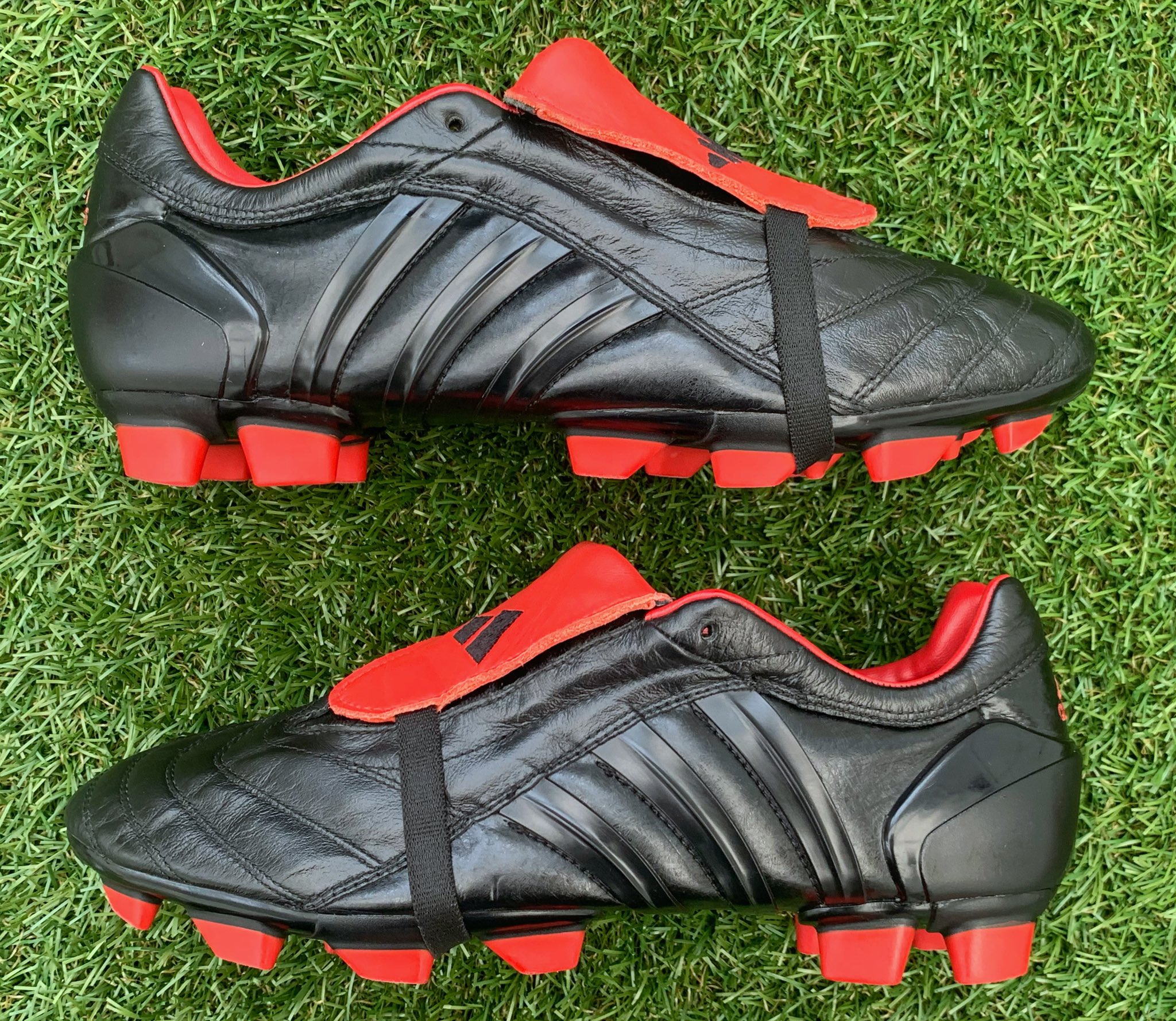 blackout predator 18