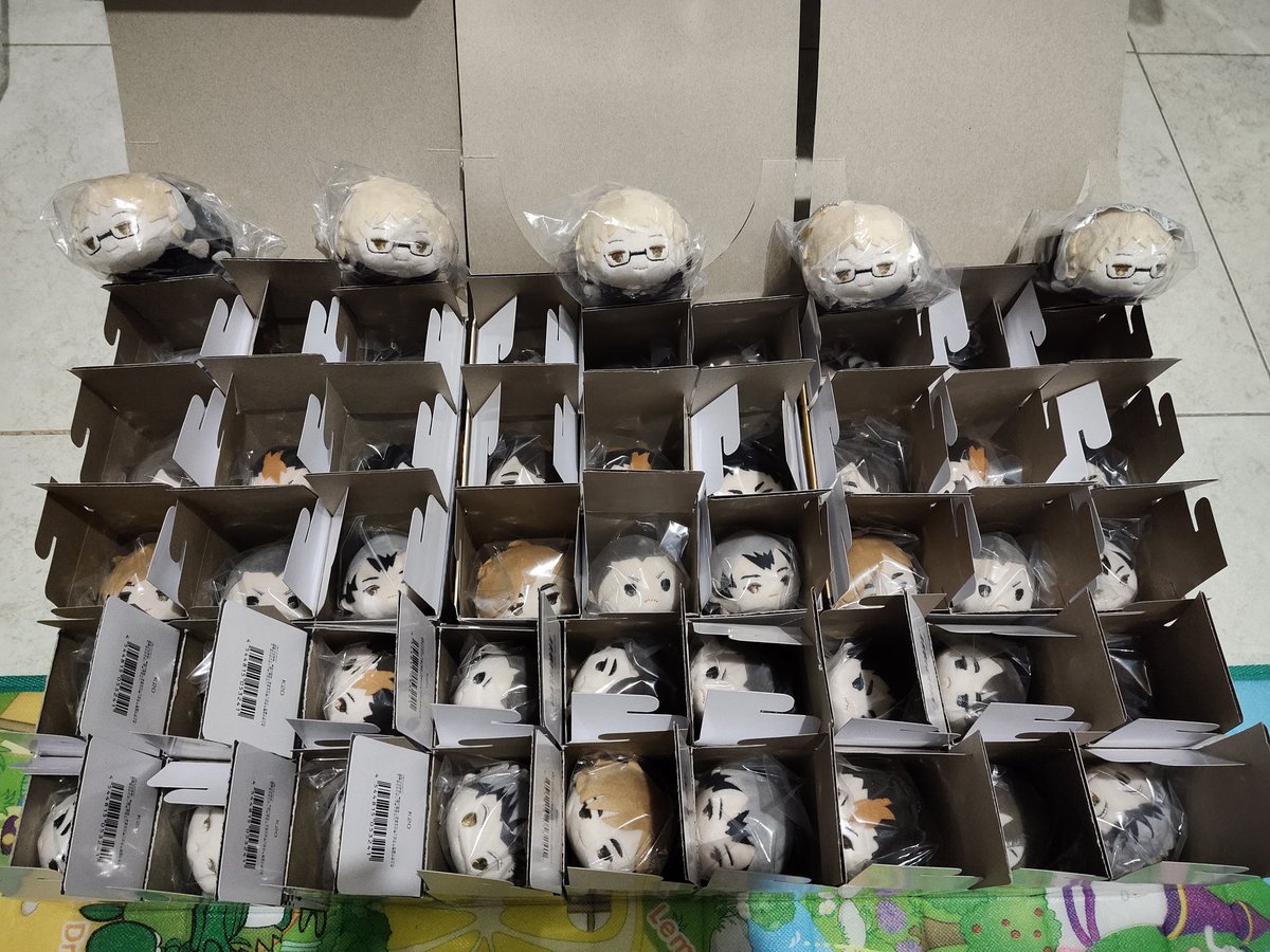 shu_shoppinggu's tweet photo. #shuupdate
akhirnya selesai unboxing dan sorting! mau dibungkus tapi bubble wrap masih otw huhu https://t.co/Z2qmSEVbcT