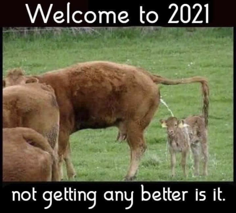 PaulnotBrian's tweet image. Morning