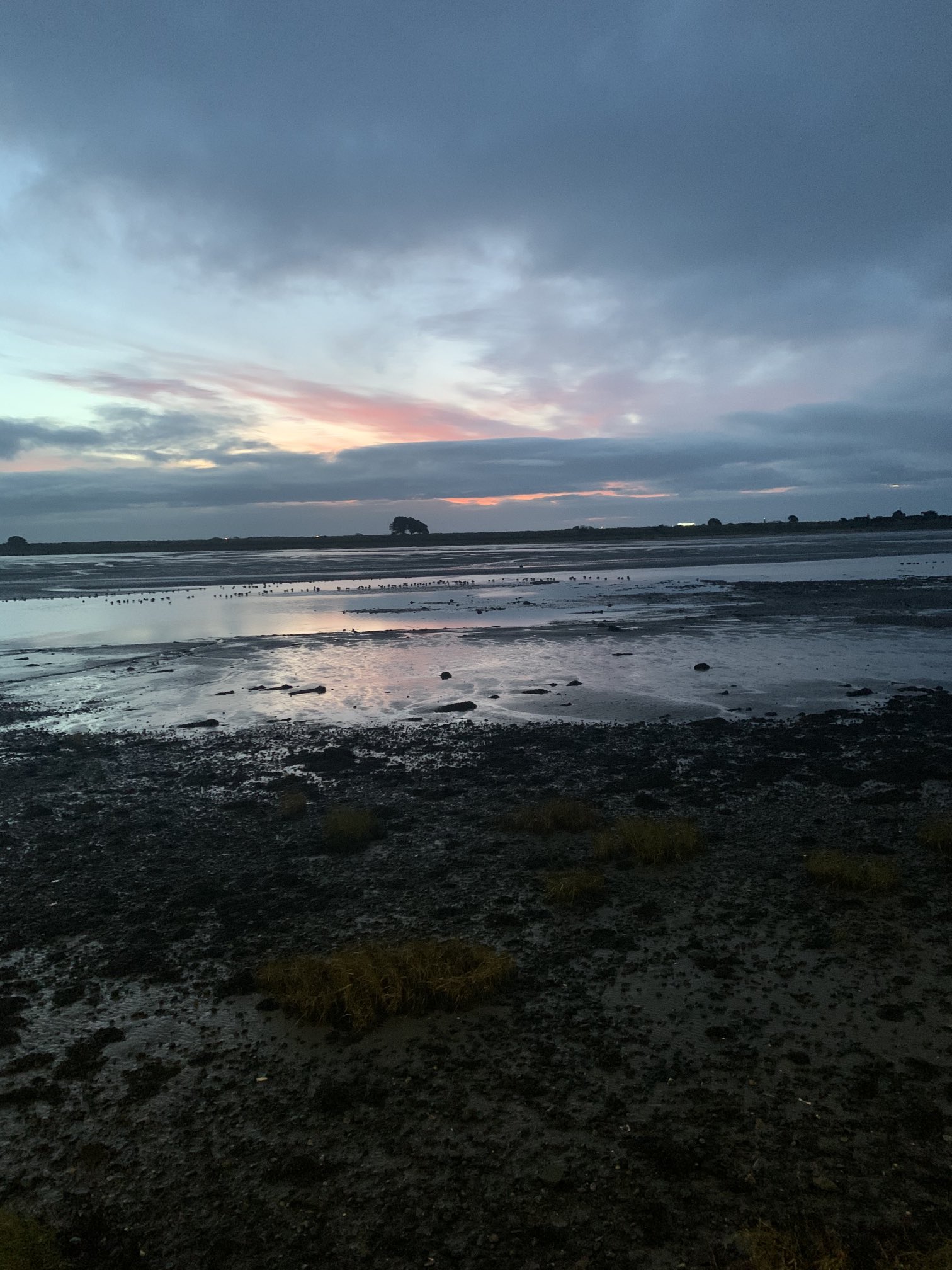 EsADo7tXUAAhElp?format=jpg&name=large