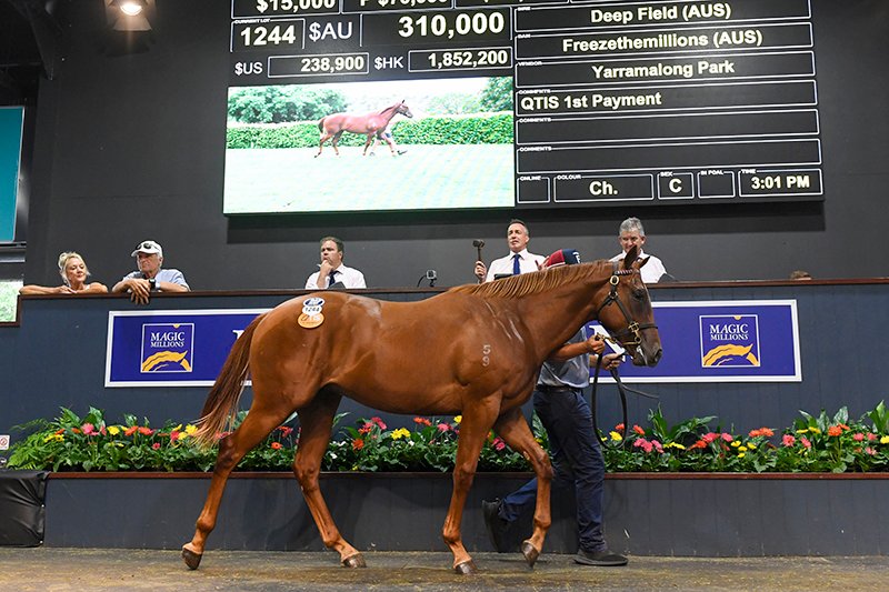 mmsnippets's tweet photo. NEWS: Records Smashed at Greatest Ever Gold Coast Yearling Sale

Over $212 million traded at the highest grossing yearling sale in Southern Hemisphere history. Today was the final day of the sale with a pair of $310,000 yearlings!

Read more here: https://t.co/nvvBPs4SKZ https://t.co/lPYJv7fSCV