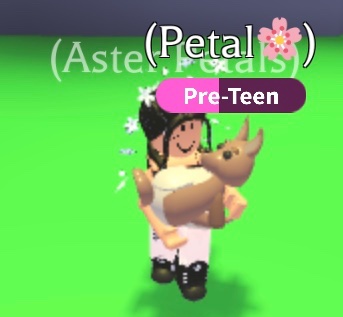 Aster (@Aster_Petals) / Posts / X