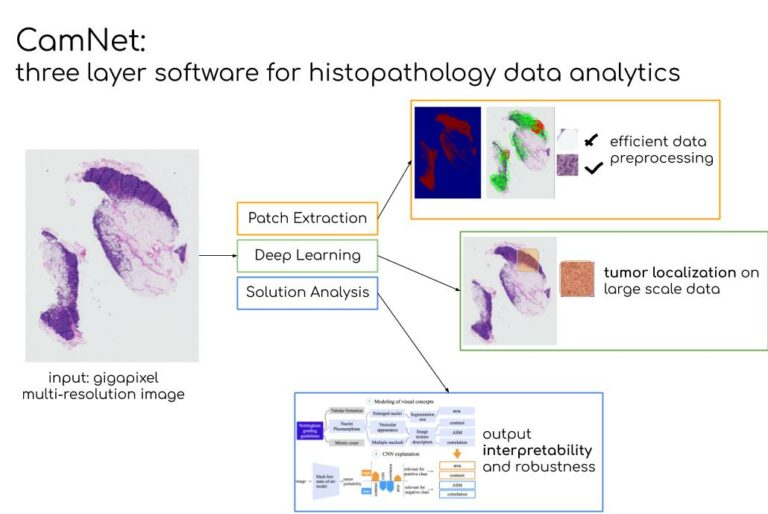 MedGIFT_group's tweet photo. In this work, we present our modular pipeline for detecting tumorous regions in digital specimens of breast lymph nodes with #DeepLearning models. 

We evaluate challenges and benefits of training models on high-performance and cloud computing with millions of images. https://t.co/PMklf2YNea
