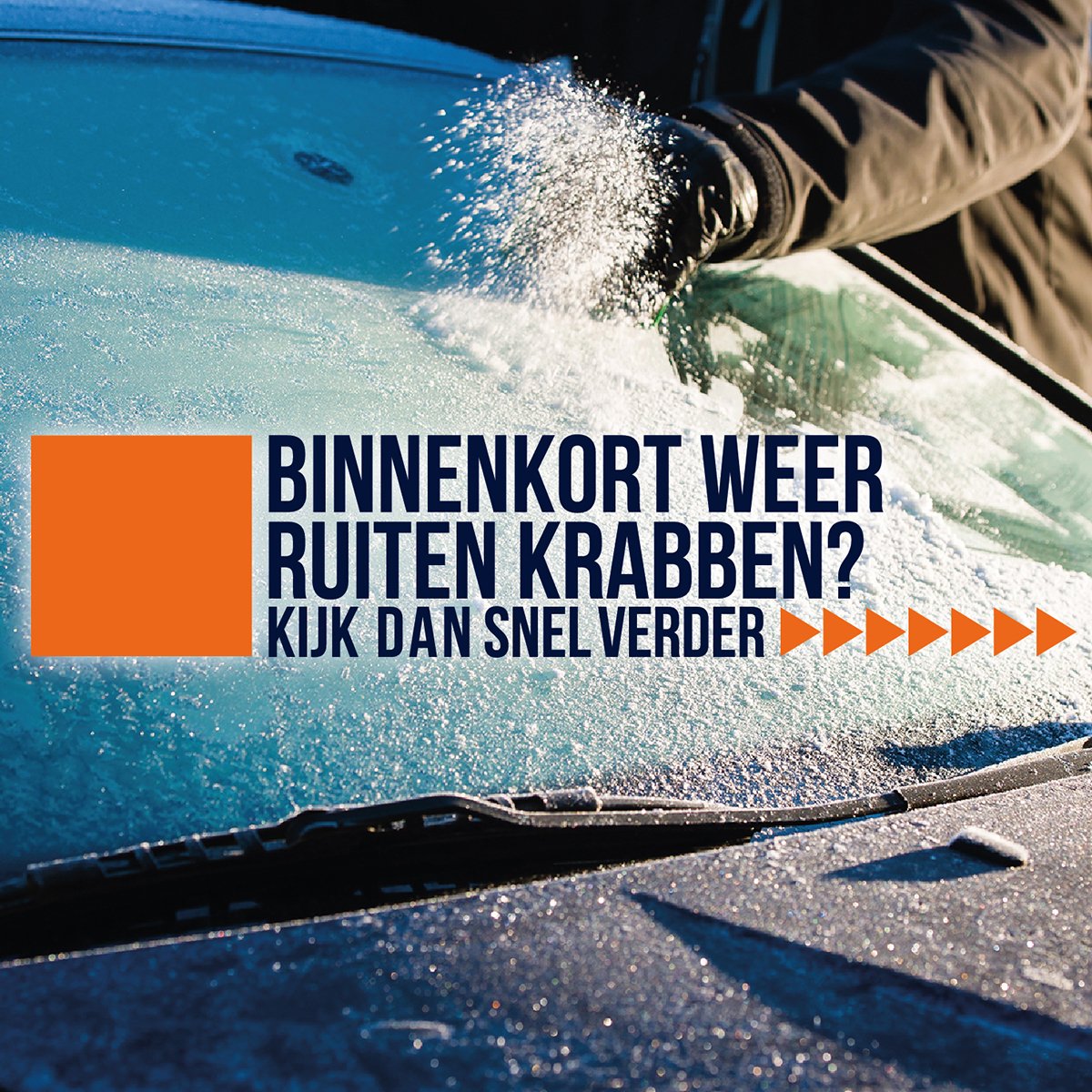 Promotion4u tweet media