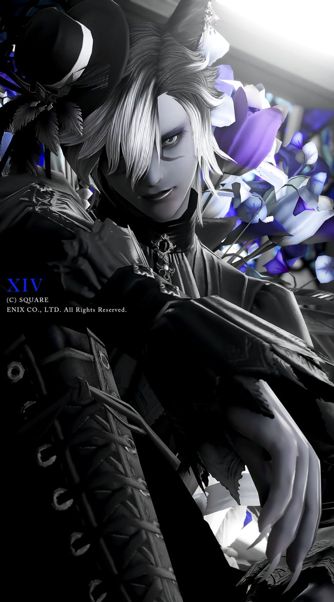 _cecile_81's tweet photo. Gothic × Blue
Studio : #studio_n https://t.co/cK3zklCRYp