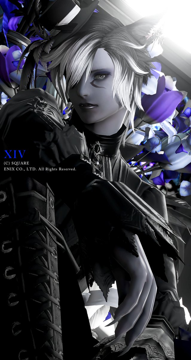 _cecile_81's tweet photo. Gothic × Blue
Studio : #studio_n https://t.co/cK3zklCRYp