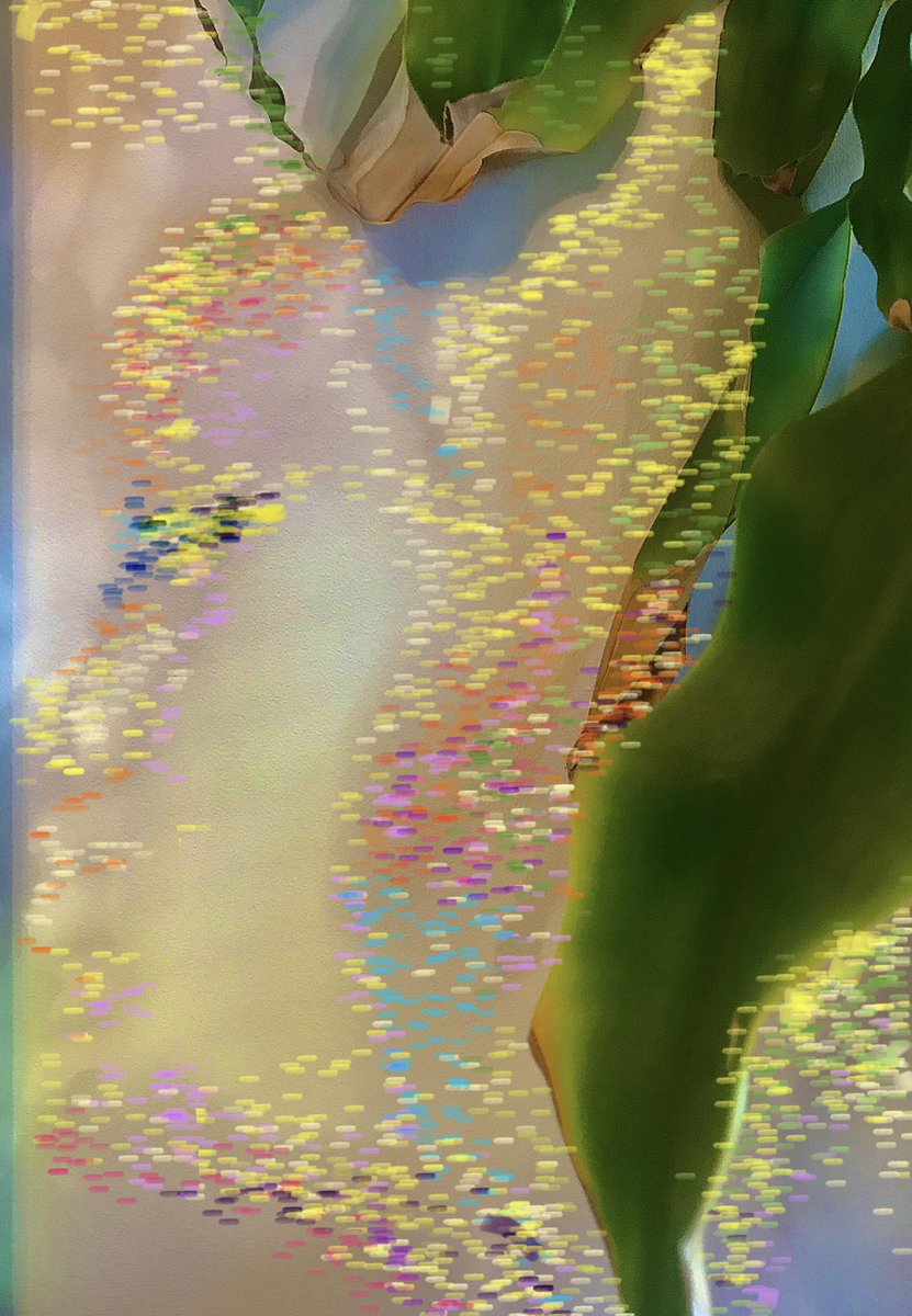 WickertRachel's tweet image. Day 17 ~ finding light 
#thejanuarychallenge @64M_Artists 
#êtresdelumière #lightshadow