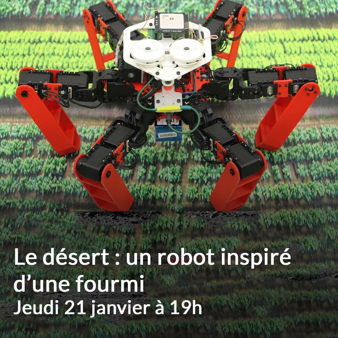 citedessciences's tweet photo. 🐜 Rentrer chez elle sans GPS, c’est ce que sait faire la #fourmi #cataglyphis qui a inspiré le petit #robot AntBot !
Retrouvez Stéphane Viollet et Lauren Kamili avec toutes vos questions, jeudi à 19h en direct sur YouTube.
👉 https://t.co/VN2ZQ4B5uj https://t.co/1QeaKasAZh