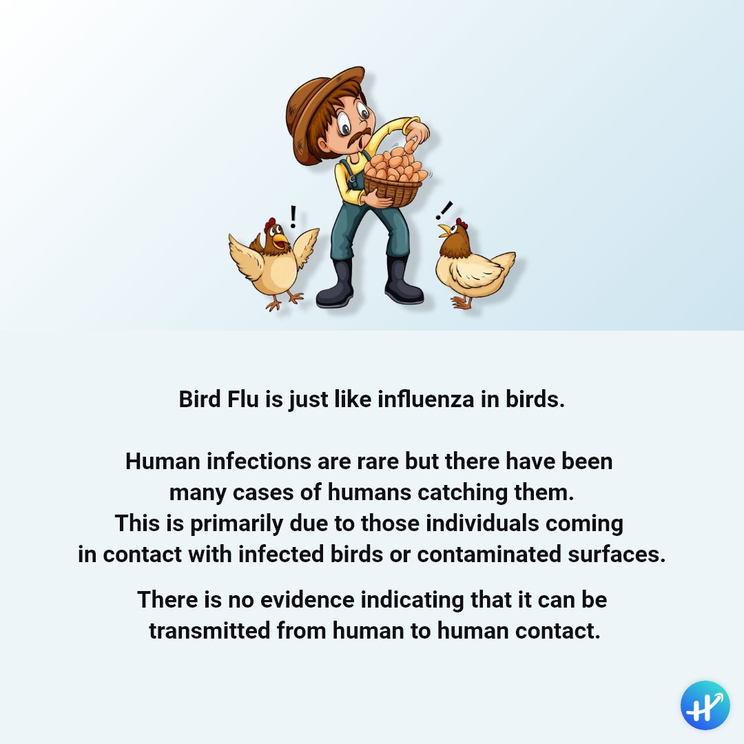 haptofit's tweet photo. Bird Flu Scare
.
Is it safe to Consume Chicken and Eggs??

#birdflu #chicken #egg #virus #health #nutrition #tips #facts #benefits #haptofit https://t.co/gLUwb9vsts