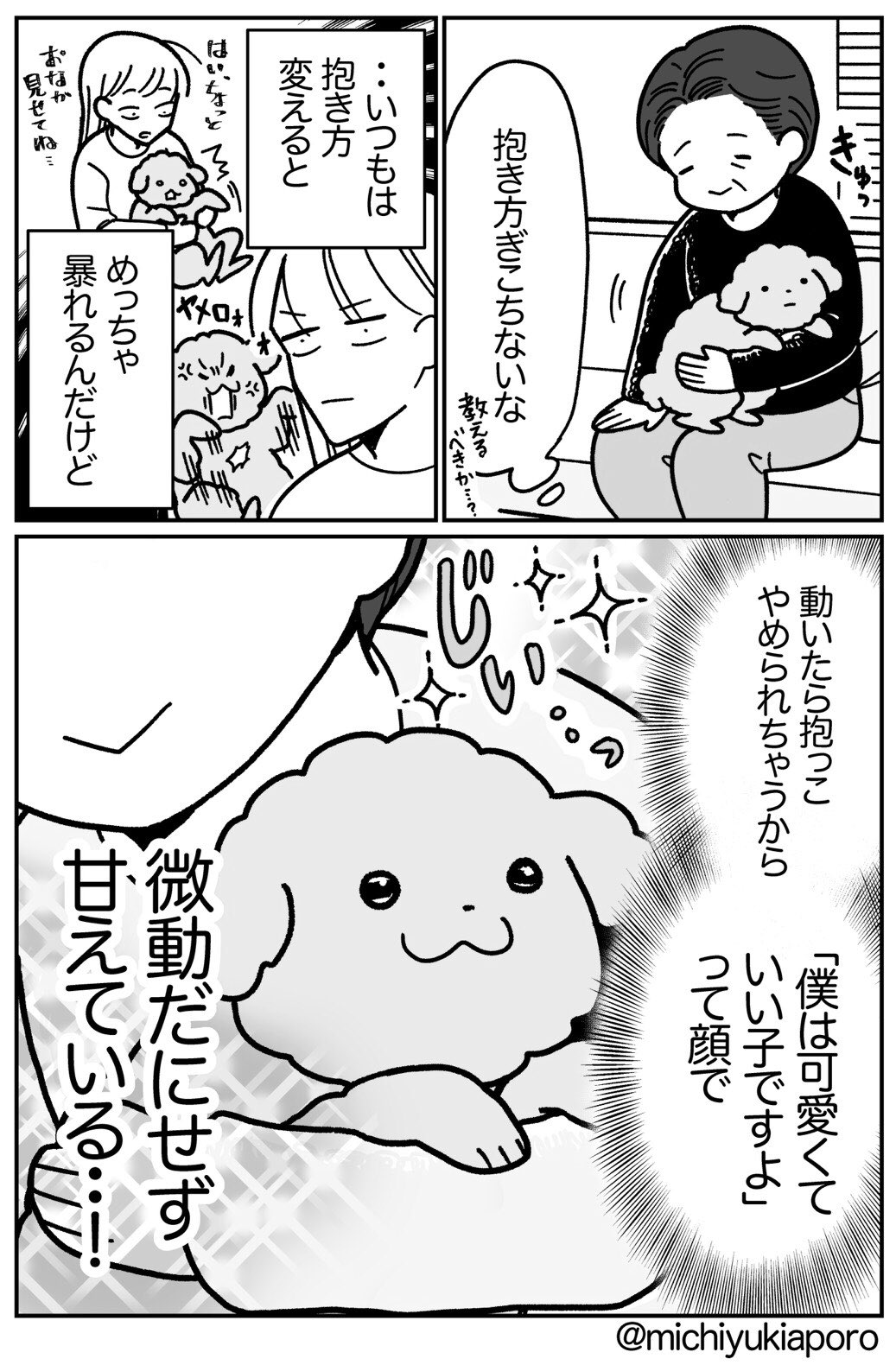道雪 葵 おばあちゃんに愛されたい うちのイッヌ21年元旦 道雪 葵 おばあちゃんに愛されたい うちのイッヌ21年元旦