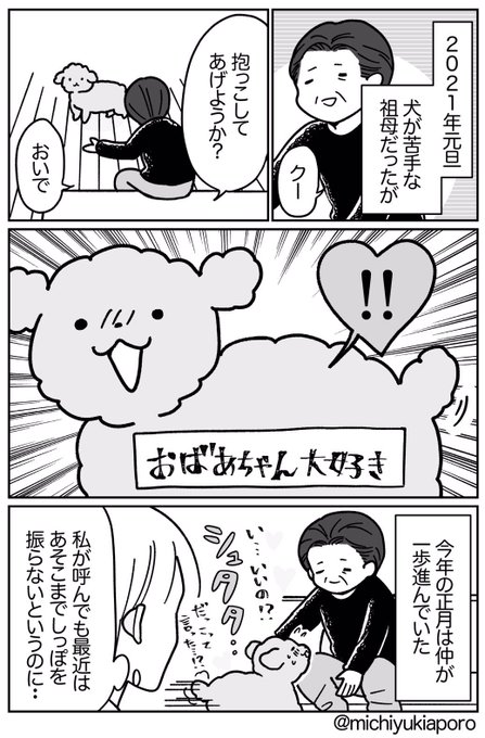 おばあちゃんに愛されたい、うちのイッヌ2021年元旦。 