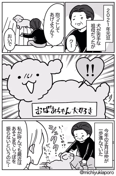 おばあちゃんに愛されたい、うちのイッヌ2021年元旦。 