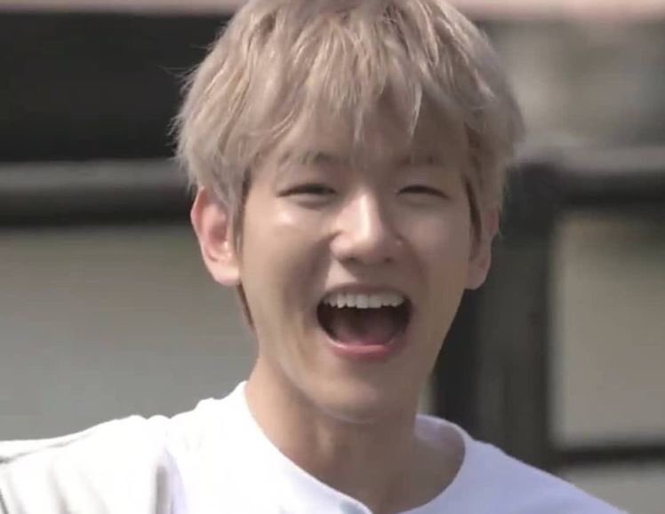 baekluthinker's tweet photo. hi!!! this is an acc for #BAEKHYUN and #LUHAN !! please rt and support!! :( https://t.co/phVfB0zQTs