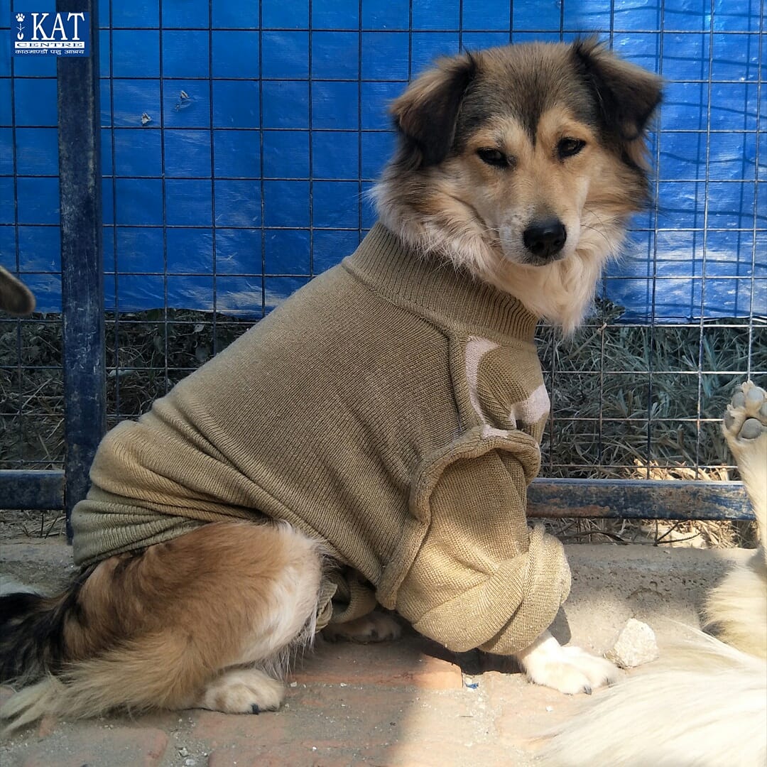 KAT Centre tweet media
