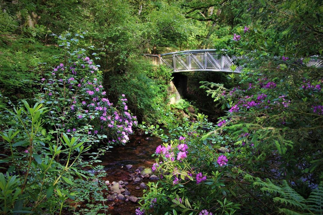 VisitTipp's tweet photo. Yip, it's Blue Monday today! What to do?
#MyTipperaryTips...Make a bucket list for when it is safe to travel.
Thanks to Jacinta on insta for this inspirational shot of Glengarra Woods.
Today's tip: May is a great time to see wild flowers in Tipp.
#BlueMonday #stayhome https://t.co/y2kTY9uXSs
