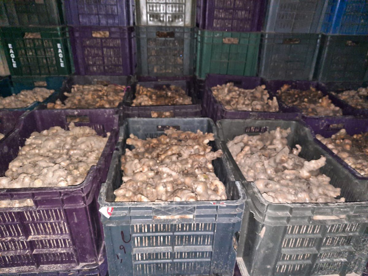RailMinIndia's tweet photo. Ginger from Assam reaches  Telangana:

Indian Railways is providing Farmers access to bigger markets. Indian Railways loaded 23 tonnes Ginger from Dibrugarh, Assam to Hyderabad, Telangana.

#MoveItLikeRailways https://t.co/avu9FzYEF7