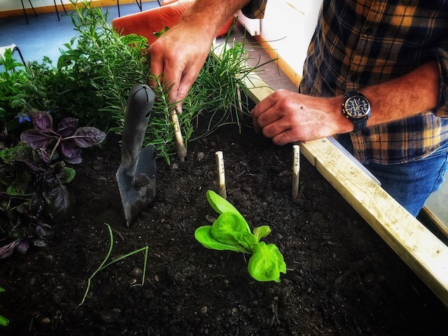 Un coup de pouce pour les jardins de Pouco 🌱
Vous voulez avoir votre propre potager ? Vous savez pas par où commencer ? 🤔

Aidez Audrey à financer sa formation en agroécologie. Vous aurez un atelier en visio pour bien débuter votre potager en échange !
> urlz.fr/eIJX