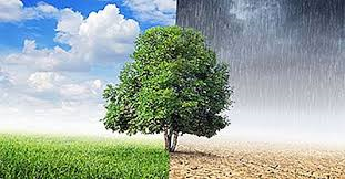 We waren gewend dat er meer dan genoeg water was, maar een nieuwe aanpak is nodig om ons watersysteem toekomst- en klimaatbestendig te maken. Tijdens het #Waterdebat op 9 februari gaan wij in gesprek over de transitie van ons watersysteem. Praat je mee? uvw.nl/agenda-item/on…