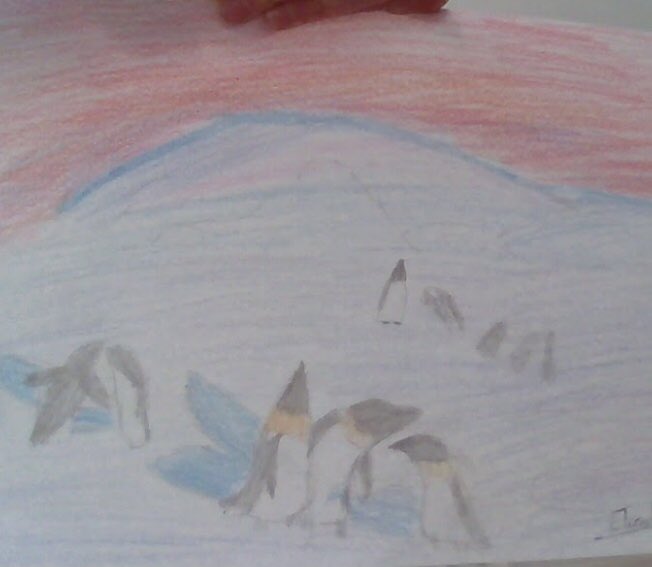 Christ Church year 5 tweet media