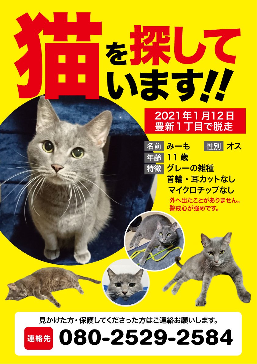 猫見つかりました Mimo 0122 Twitter