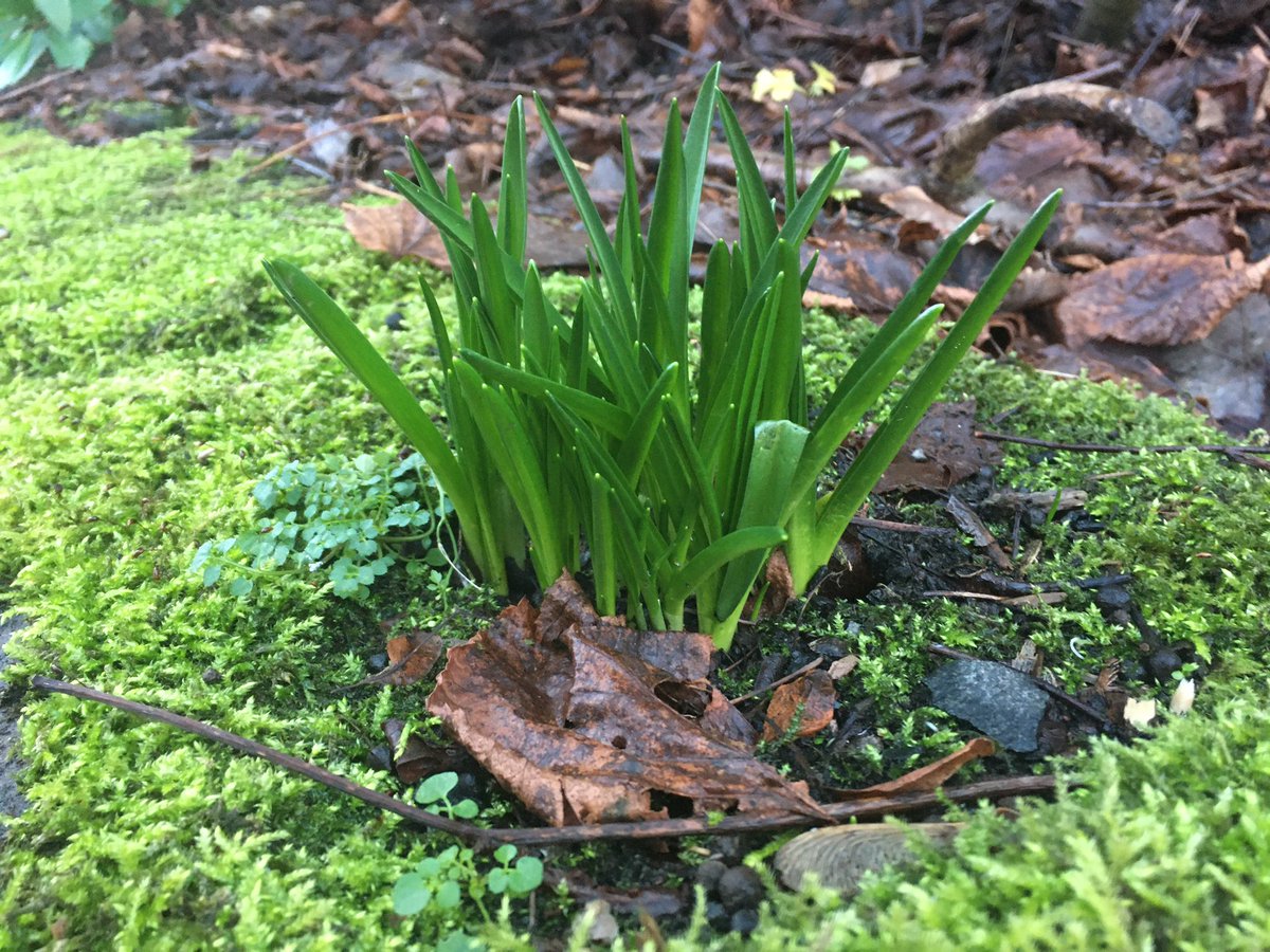 stuffByBez's tweet photo. Today, I walked the same path. But I noticed new details.

A few birds and squirrels started by, too quickly for me to photograph.

A bit of jogging.

36 situps, 10 leg raises, and stretching when I got home.

#BezExercise https://t.co/4nQRoOhrG2
