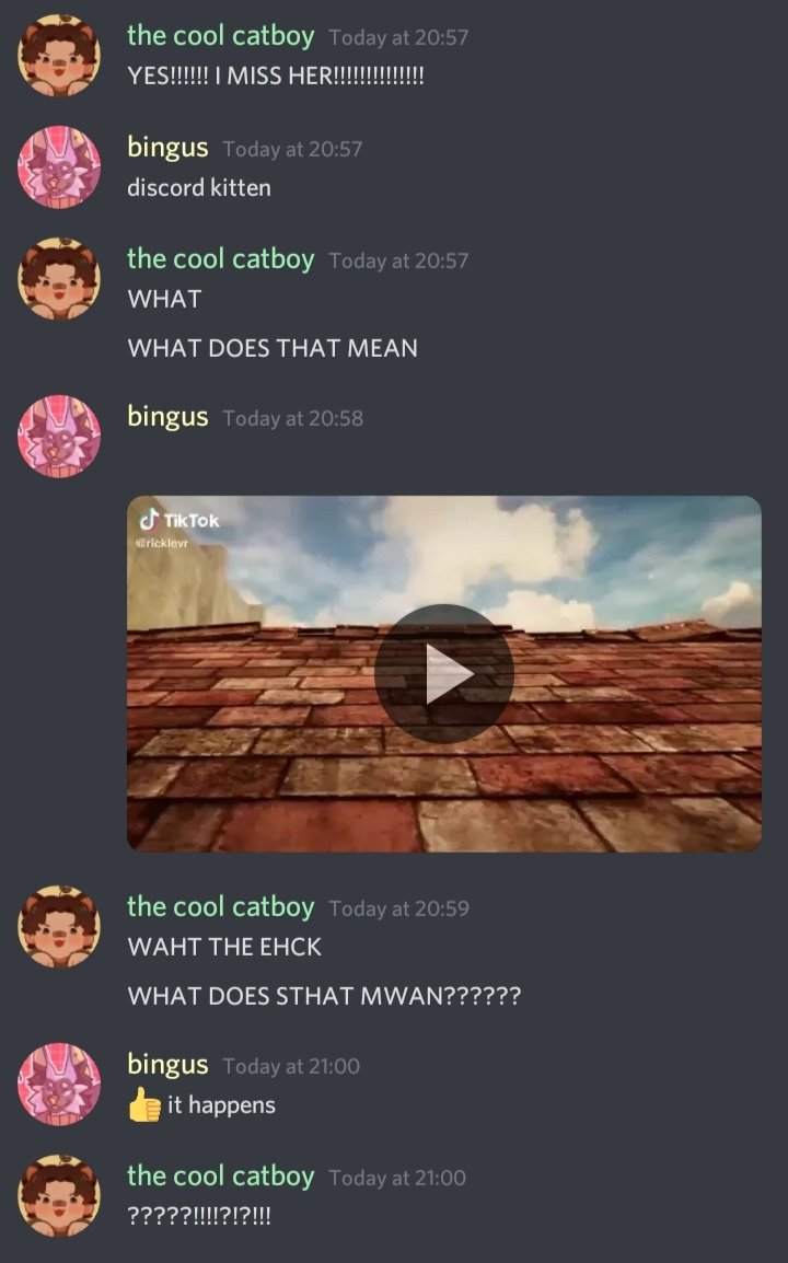 Lemo on twitter what does discord kitten mean twitter
