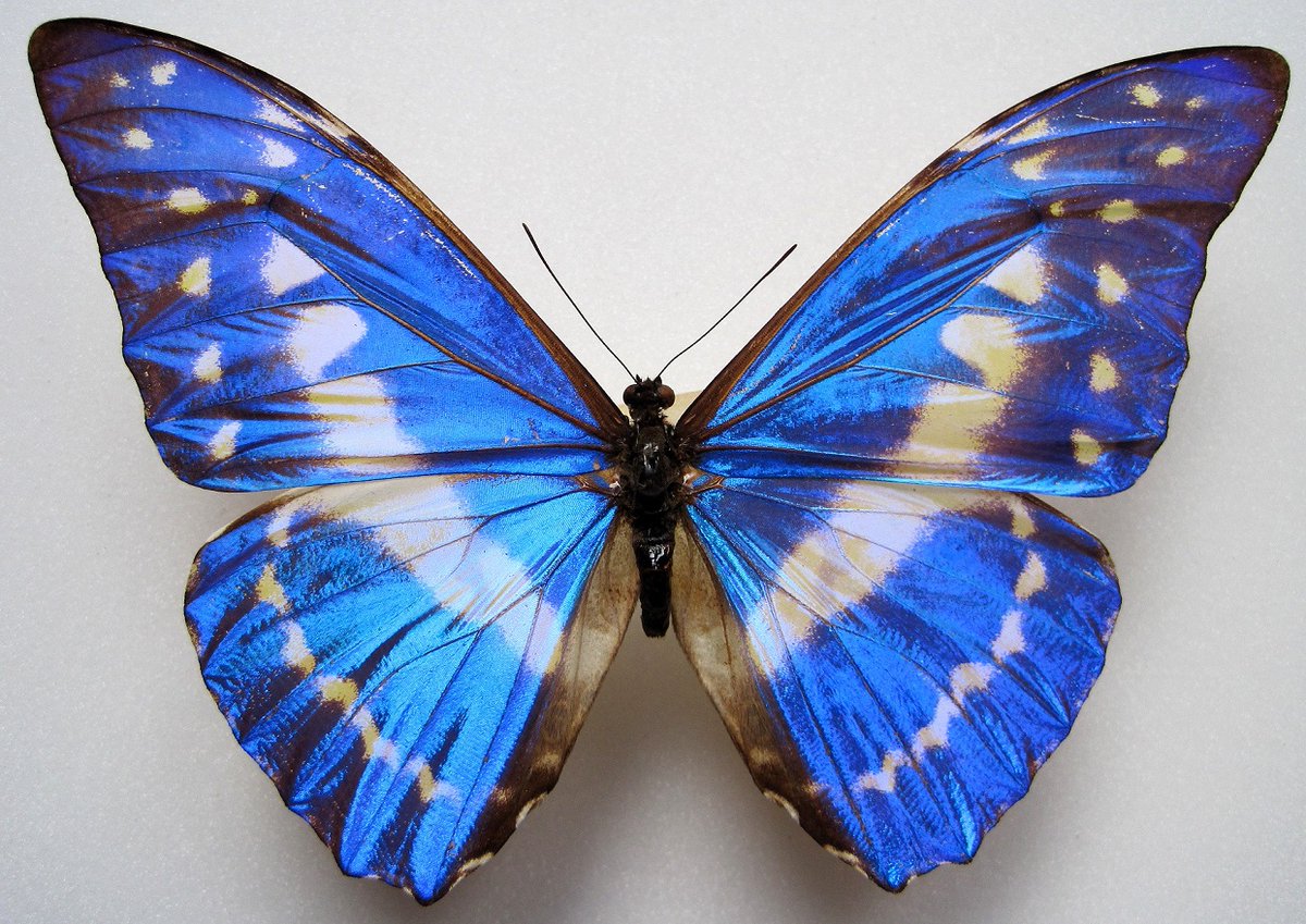 McrMuseum Collection tweet media