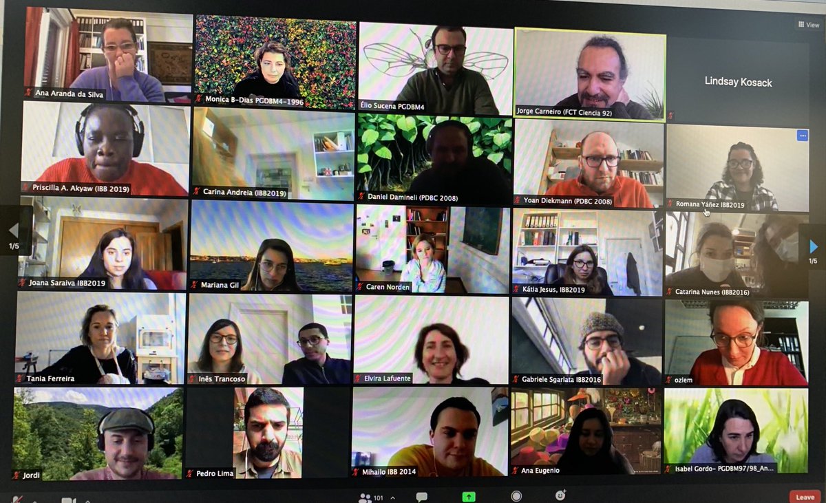 IGCcentrioles's tweet photo. 🤗😁to have @IGCiencia PhD Program workshop: 1st yr students present project and 1st results. This time with alumni presence 🥰& 🎊👏🍻of great work of former director Elio Sucena- #Learning2Fly by @rjryanez #GreatScience #IGCfamily https://t.co/LxAEBhl6Bm