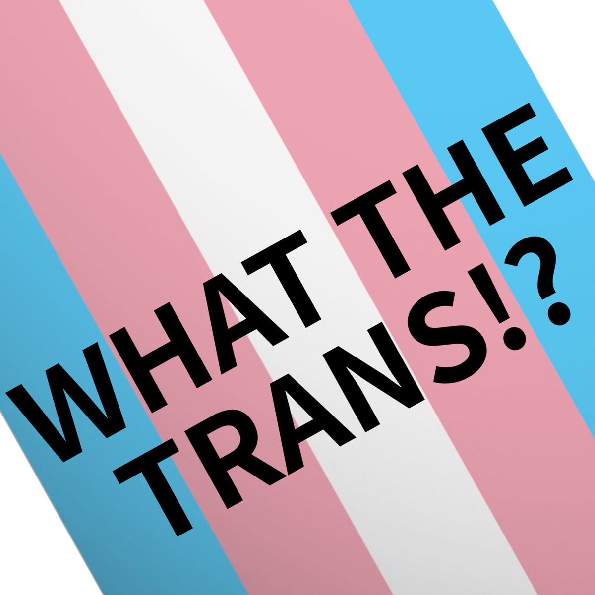What The Trans!? - weekly podcasts and a twitter account abuzz with the latest news, analysis, commentary, and platforming of other great voices/charities/causes/organisations. follow:  @WhatTheTrans  https://www.whatthetrans.com&nbsp;