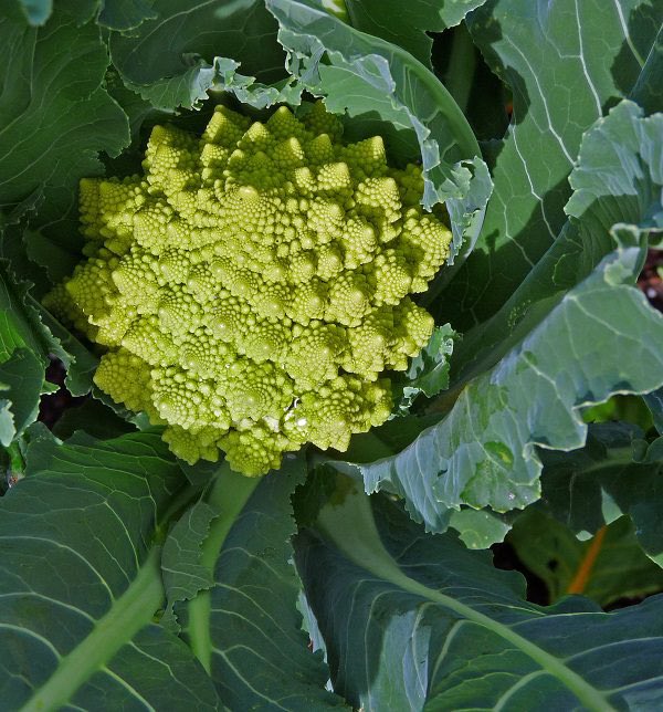 Feels like spring in Seattle