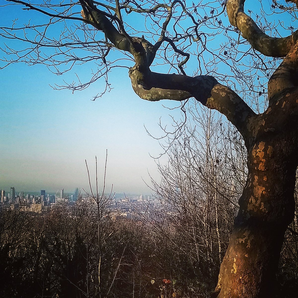 wanderingwus's tweet photo. Panorama spettacolare della città dalla sommità di One Tree Hill, riserva naturale a sud di Londra.
#onetreehill #honoroak #walkforhealth #London https://t.co/SmmzBeYhSI