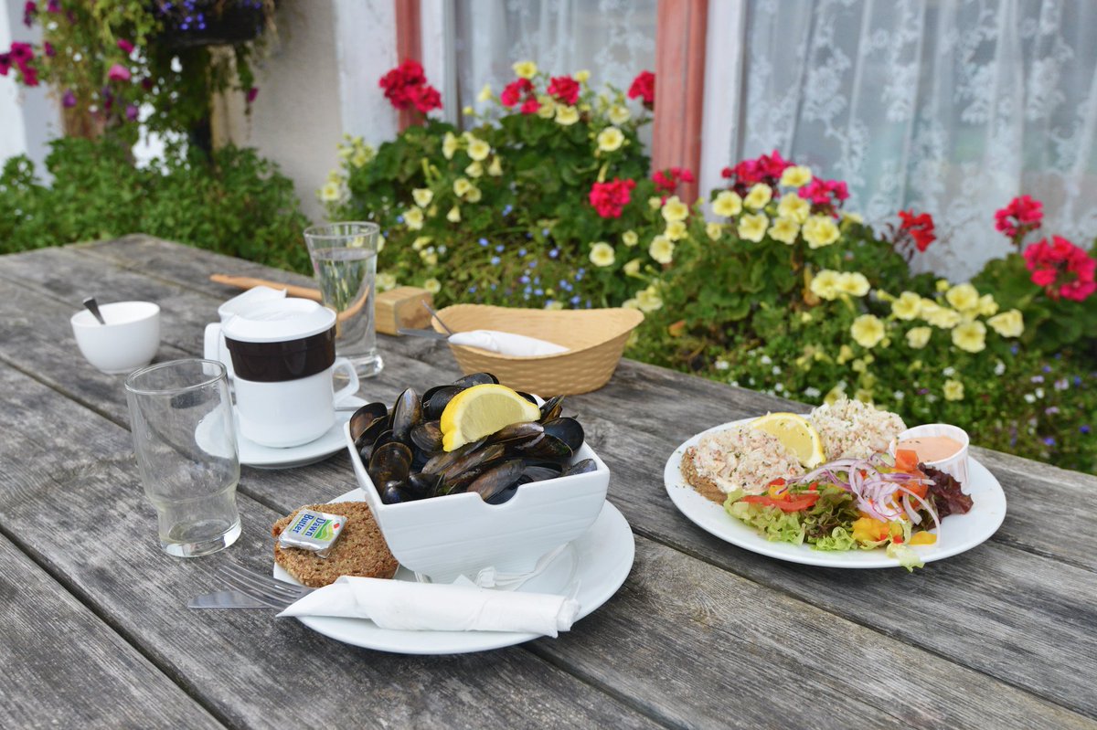 @poloconghaile tweet media