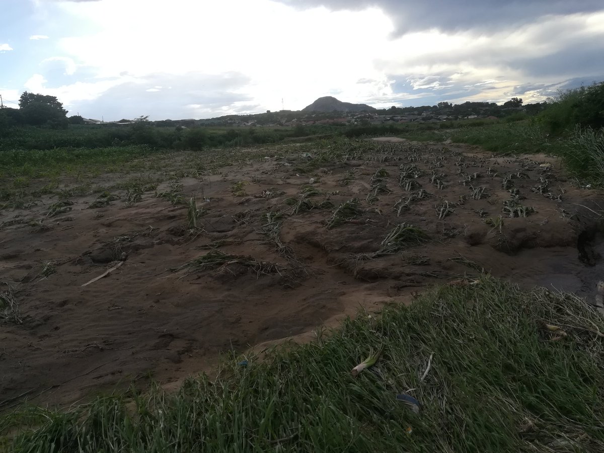 ZimRightsManic tweet media