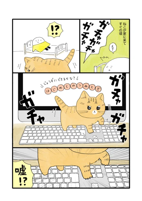 子猫時代 