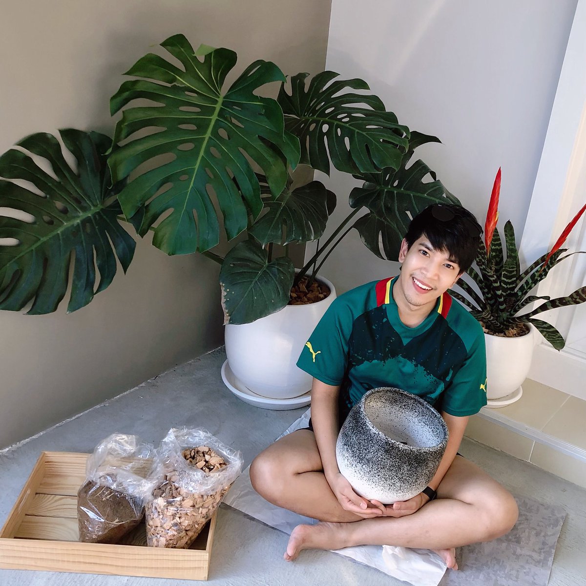 champzwachi's tweet photo. ����หัวใจผมสีเขียว🌱#ต้นไม้ก็เช่นกัน
#ไม่เชื่อมาเที่ยวในใจได้นะ☺️

#แคปลั่น #แคปชั่น #แคปชั่นต้นไม้ #แคปชั่นอ่อย #แคปชั่นโดน #อ่อยยังไงไม่ให้รู้ว่าอ่อย #แคปชั่นน��ารัก #แคปชั่นคนโสด https://t.co/HV7RGQqA3o