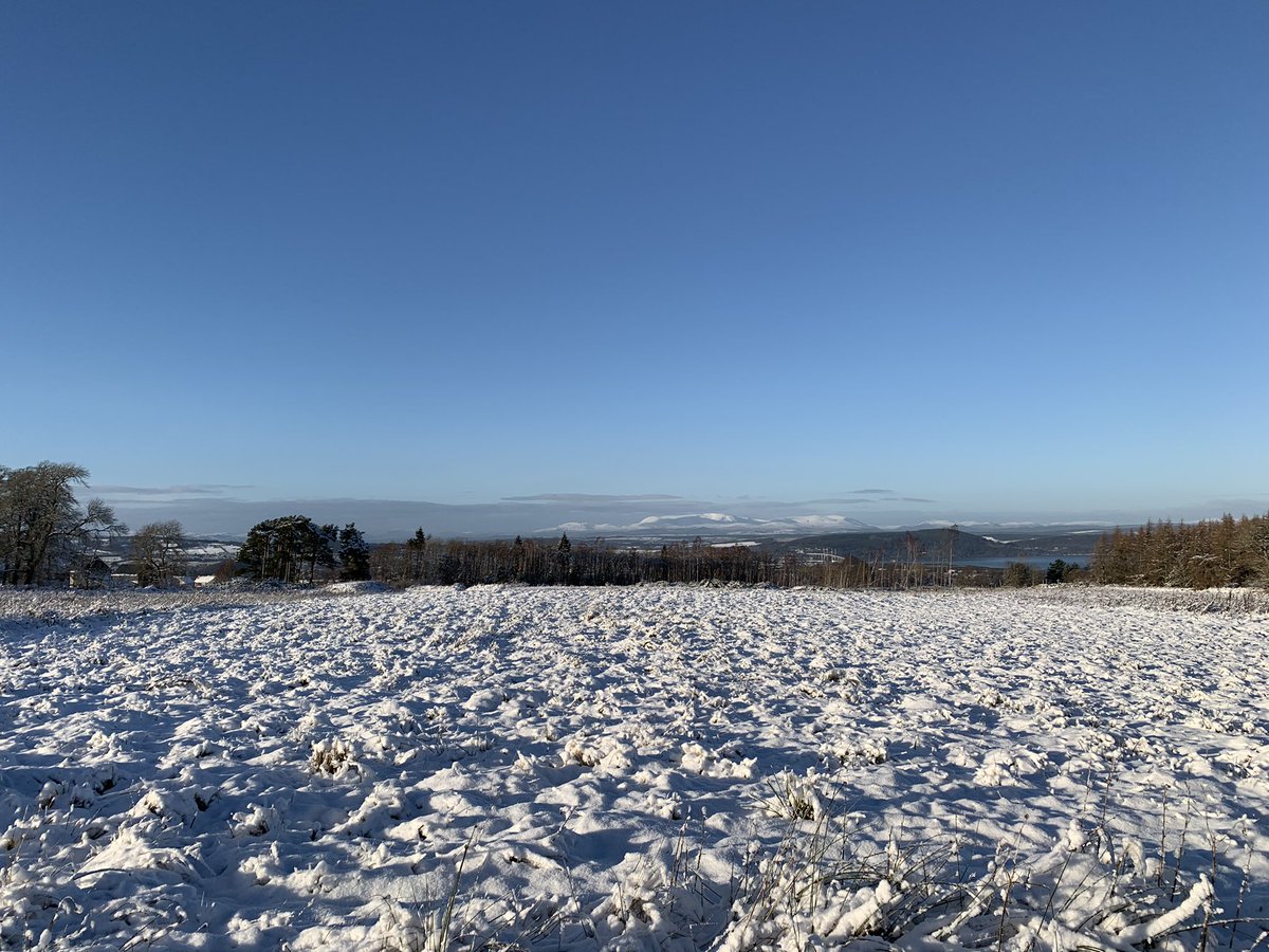 The field at Braes of Balvonie isn’t looking as wintery anymore, but it was lovely while it lasted! #inverness #miltonofleys #winter #snow #braesofbalvonie