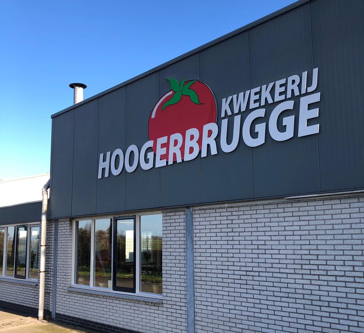 Sinds 1 januari jl. is kwekerij Hoogerbrugge uit Lepelstraat met 14,5 hectare lid geworden van #Prominent. De broers Erik en Pieter Hoogerbrugge telen zowel losse als #trostomaten. Welkom bij de club! growersunited.nl/nieuwe-aanwas-…
#samenondernemen #welovetomatoes #Hoogerbrugge