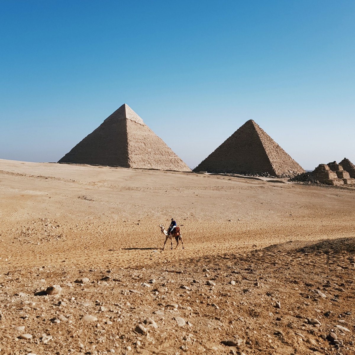 lhumanologue's tweet photo. Chaque lundi, nous partageons un article avec vous. Cette semaine, nous avons choisi u narticle de Jean-François sur "L'individu au temps de Pharaons". Bonne lecture !

https://t.co/GyxvRVjcIl
#recherche #individu #hommes #egypte #humanologie https://t.co/x7zBiRwGcX