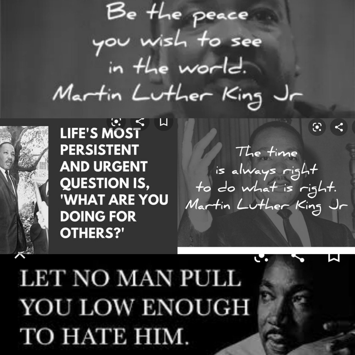 Tara neel (@taraneel3) on Twitter photo 