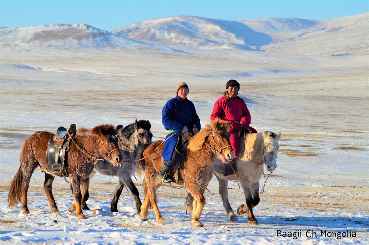 Адуучин хөвгүүд