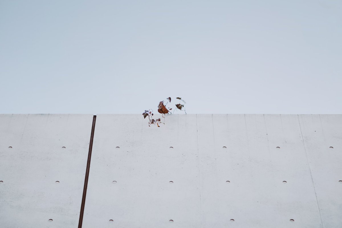 searchers47's tweet photo. 定点観測
#leicam10p #summicron90 https://t.co/CfVWBG3ALg