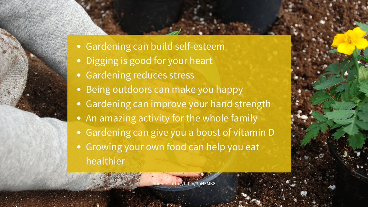 8 reasons why gardening can be good for you!
