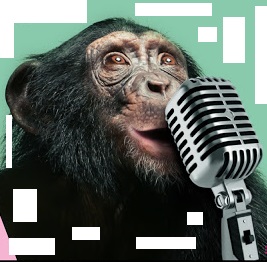 en días cumpliremos 5 años con La Radio de Los Monos @MonosNavajaCl q aún sigue siendo un espacio abierto y diverso para quién no tiene espacio en las radios convencionales aplicando nuestro amor por amor ..un aniversario diferente este 2021 .....#FelizLunes