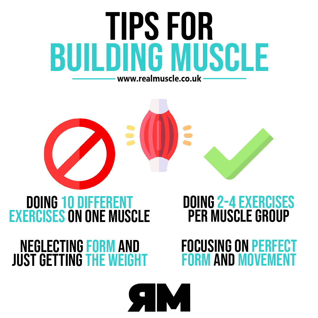 RealMuscle2020's tweet photo. πͺ Tips for building #muscle
#bodybuildingtips #musclebuildingtips https://t.co/eBbAod99CE