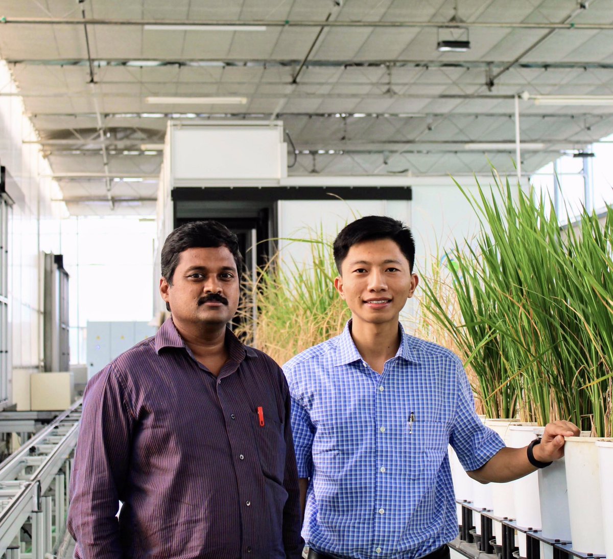 ducstat's tweet image. My chairperson Dr Dhandapani Raju now is a Senior Scientist. Congratulations on your promotion 🎉🎉🎉 @dandyman2k3