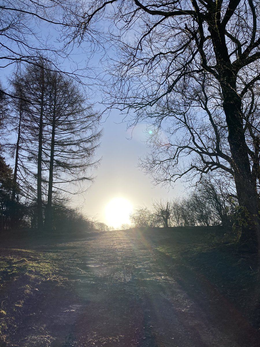 adelebing's tweet photo. .
Lovely walk up here at Middle Hill yesterday - signs of Spring’s approach and the return of the ☀️
#middlehill #middlehillbroadway #middlehillhouse #broadwayvillage #cotswolds #cotswoldlife #villagelife #lovewhereyoulive #signsofspring #imbolcapproaches https://t.co/zkSNlxDwXV