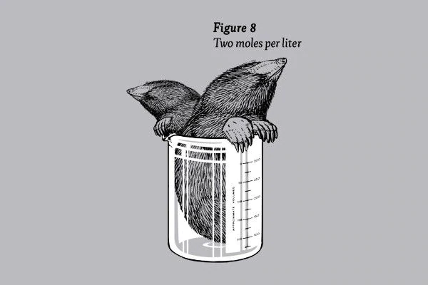 😂Two moles per liter